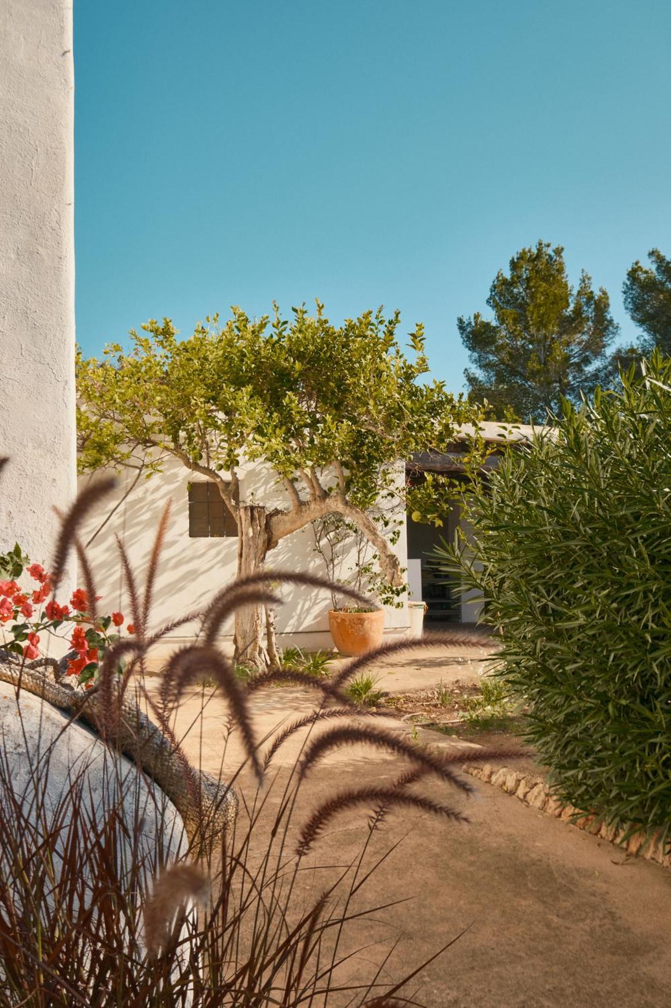 The Guardian House Hotell Santa Gertrudis  Exteriör bild